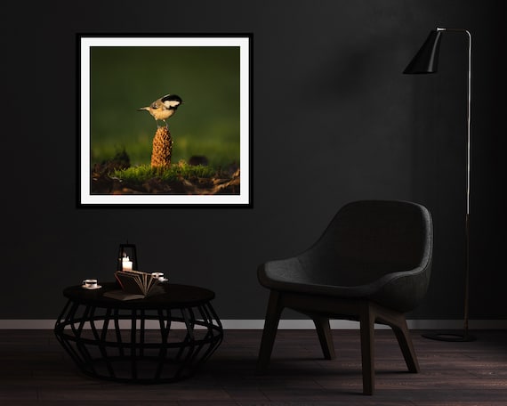 Coal Tit I - Photographic Print