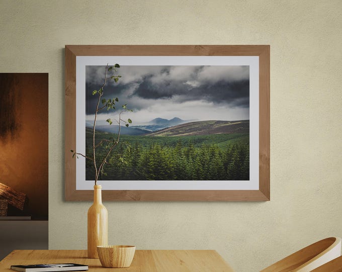Scotland Fine Art Photograph • Eildon Hills from Traquair Forest • Unframed Print