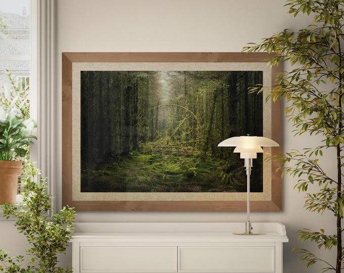 Scotland Fine Art Photograph • Black Esk Forest I • Unframed Print