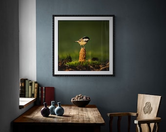 Coal Tit I - Wildlife - Unframed Photographic Print