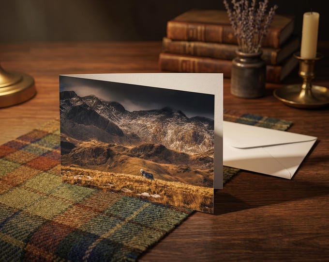 Lake District Greeting Card • Herdwick Sheep before the Scafells