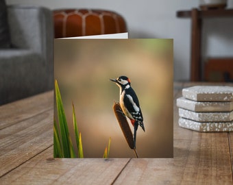 Great Spotted Woodpecker - Wildlife - Blank Greeting Card