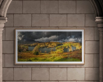 Lake District Fine Art Photograph • Tarn Hows • Unframed Print