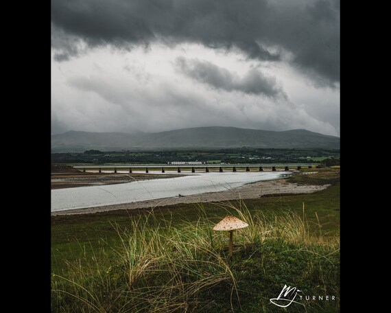Eskmeals Viaduct from Eskmeals Dunes I, Cumbrian Coast Line, Lake District - Photographic Print
