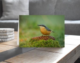 Nuthatch - Wildlife - Blank Greeting Card