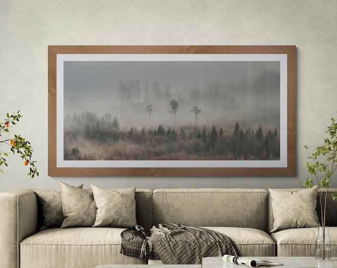 Scotland Fine Art Photograph • Mabie Forest III • Unframed Print