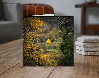 Lake District Greeting Card • Borrowdale I