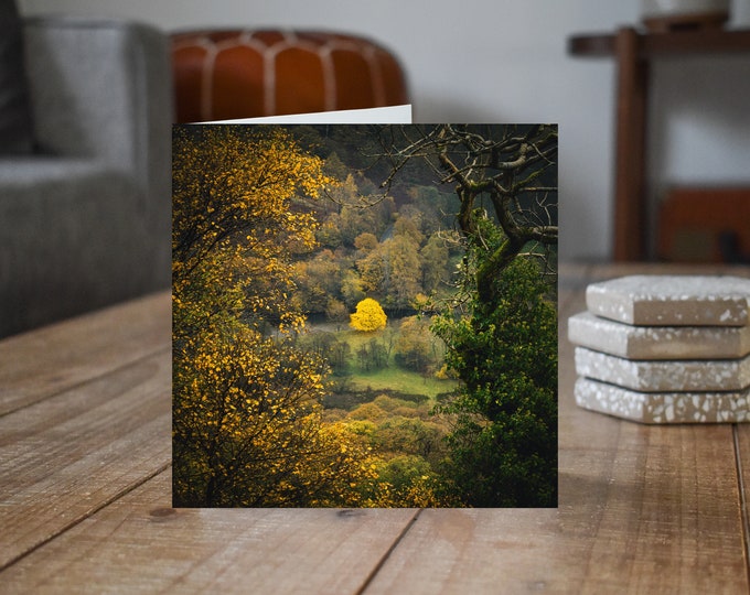 Lake District Greeting Card • Borrowdale I