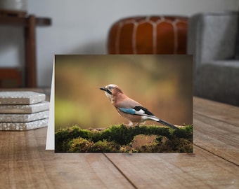 Eurasian Jay I - Wildlife - Blank Greeting Card
