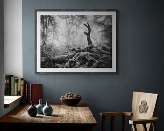 Lake District Fine Art Photograph • Great Mell Fell • Unframed Print
