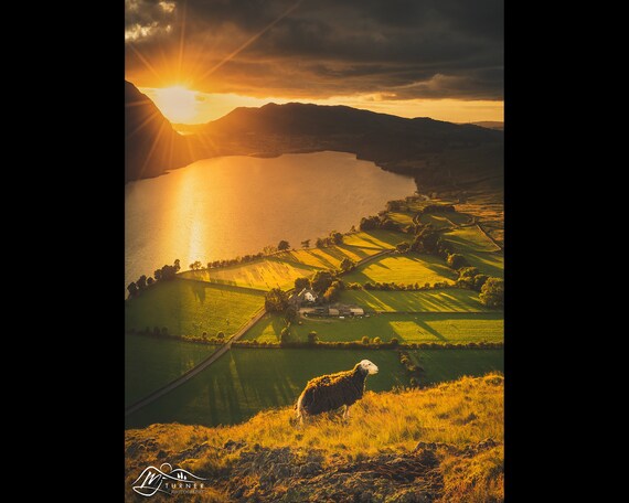 Crummock Water from Rannerdale Knotts, Lake District - Photographic Print