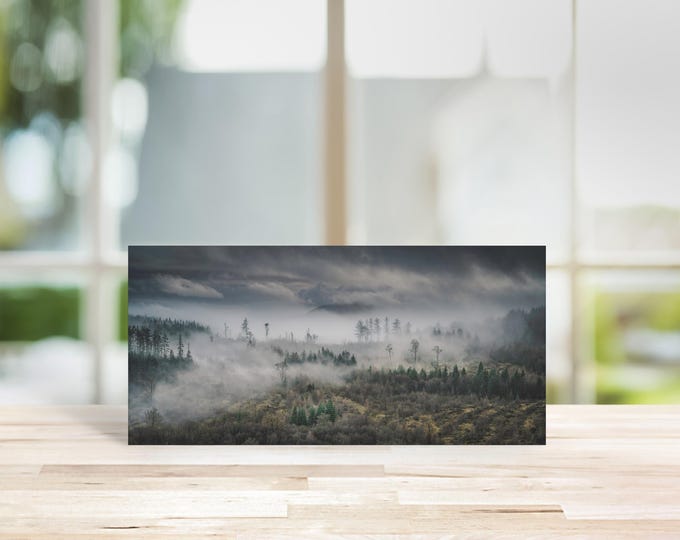 Scotland Greeting Card • Mabie Forest IV