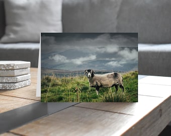 Yorkshire Dales Greeting Card • Swaledale Sheep, Great Knoutberry Hill