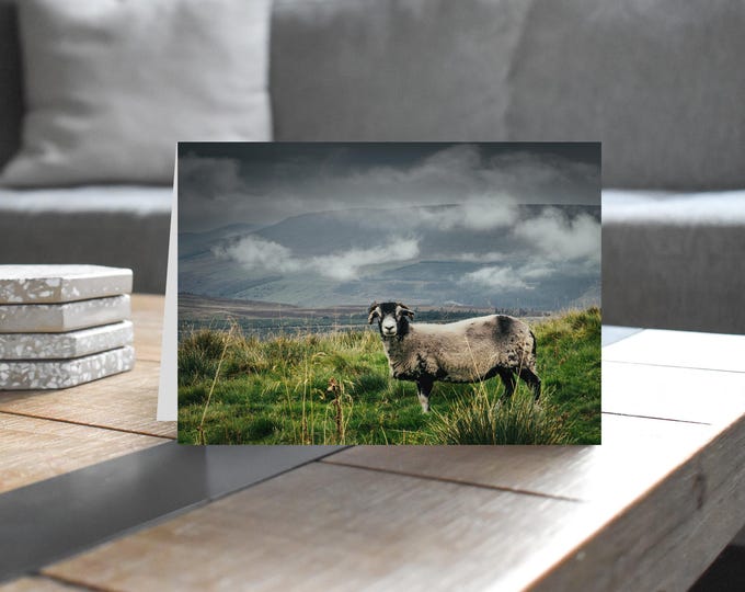 Yorkshire Dales Greeting Card • Swaledale Sheep, Great Knoutberry Hill
