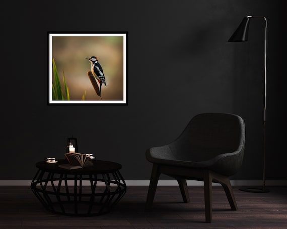 Great Spotted Woodpecker II - Photographic Print