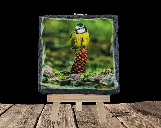 Blue Tit - Rock Slate Coaster