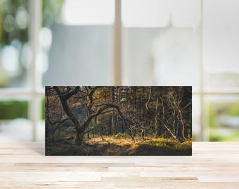 Lake District Greeting Card • Chapel House Plantation
