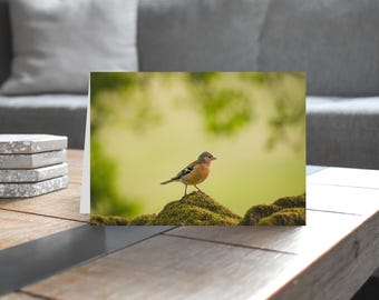 Chaffinch - Wildlife - Blank Greeting Card