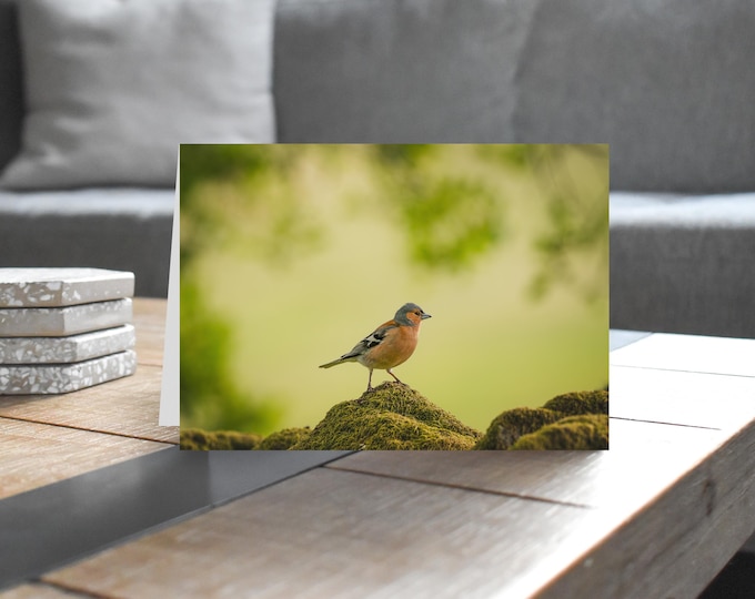Chaffinch - Wildlife - Blank Greeting Card