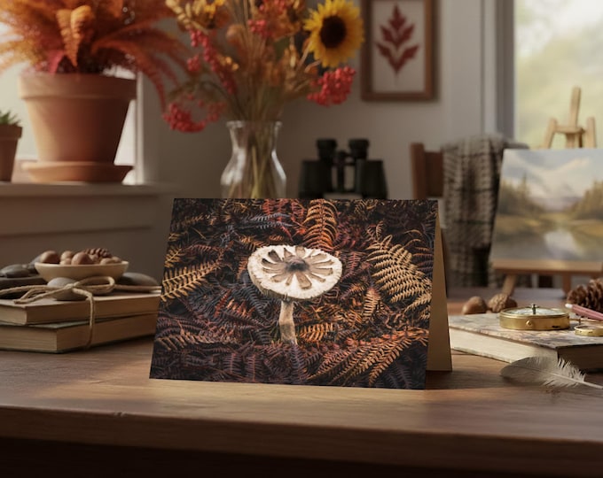Nature & Wildlife Greeting Card • Parasol Mushroom