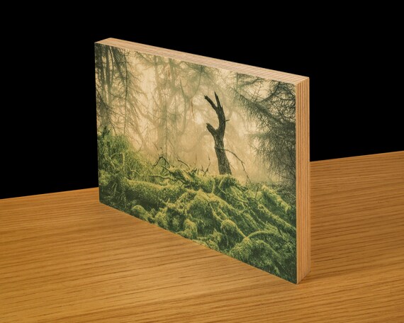 Great Mell Fell I, Lake District - Wood Print