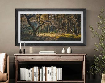 Lake District Fine Art Photograph • Chapel House Plantation • Unframed Print