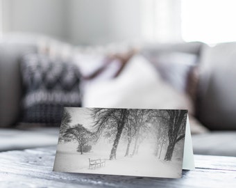 City of Carlisle Greeting Card • Bitts Park