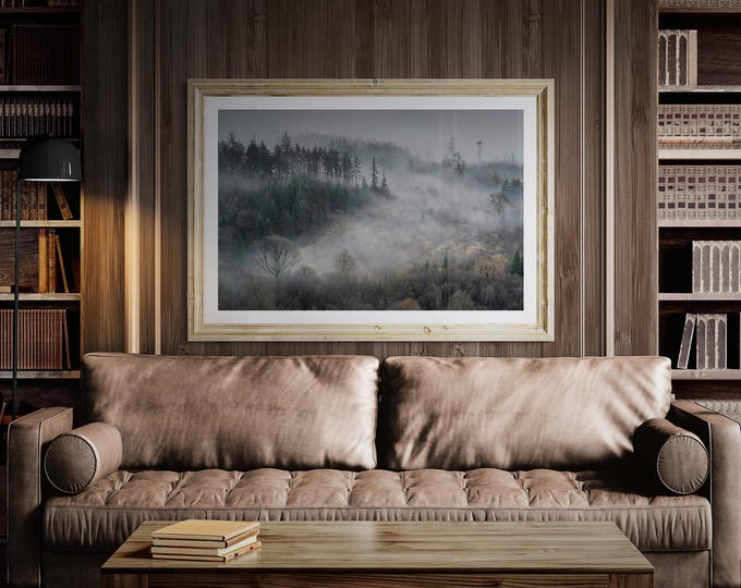 Scotland Fine Art Photograph • Mabie Forest V • Unframed Print