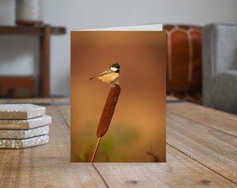 Coal Tit II - Wildlife - Blank Greeting Card