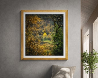 Lake District Fine Art Photograph • Borrowdale I • Unframed Print