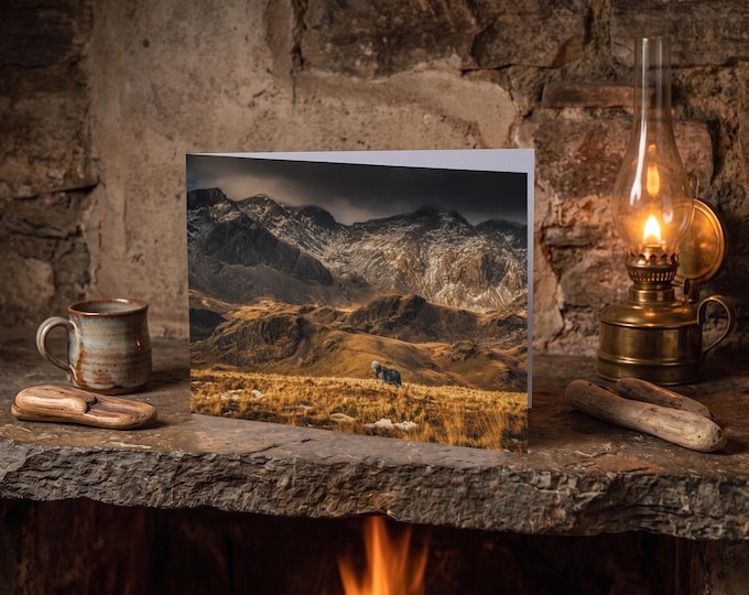 Lake District Greeting Card • Herdwick Sheep before the Scafells
