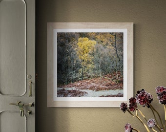 Lake District Fine Art Photograph • Troutdale • Unframed Print