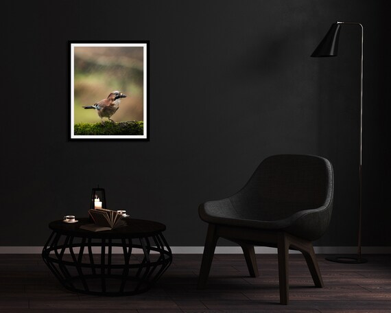 Jay III - Photographic Print