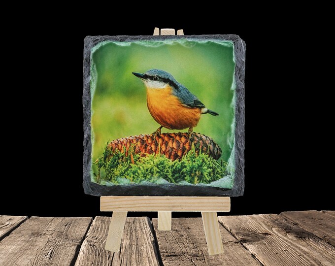 Nuthatch II - Rock Slate Coaster