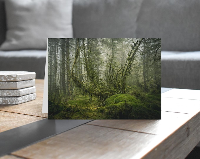 Scotland Greeting Card • Wauchope Forest