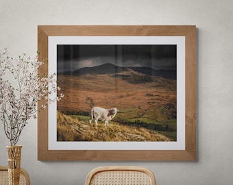 Lake District Fine Art Photograph • Herdwick Sheep and Harter Fell • Unframed Print