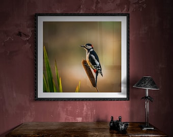 Great Spotted Woodpecker II - Wildlife - Unframed Photographic Print