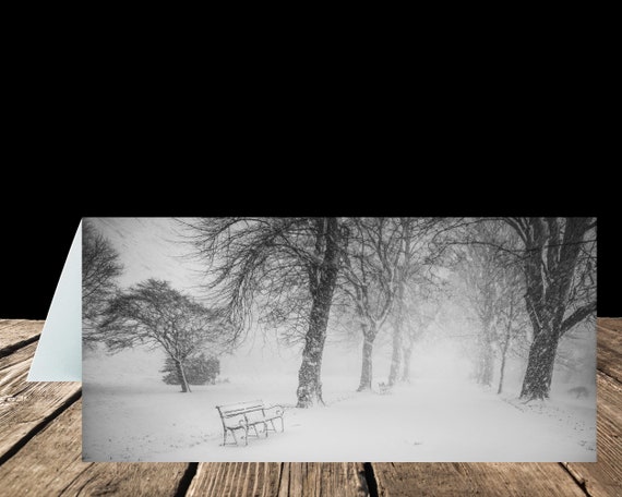 Bitts Park, City of Carlisle - Greeting Card