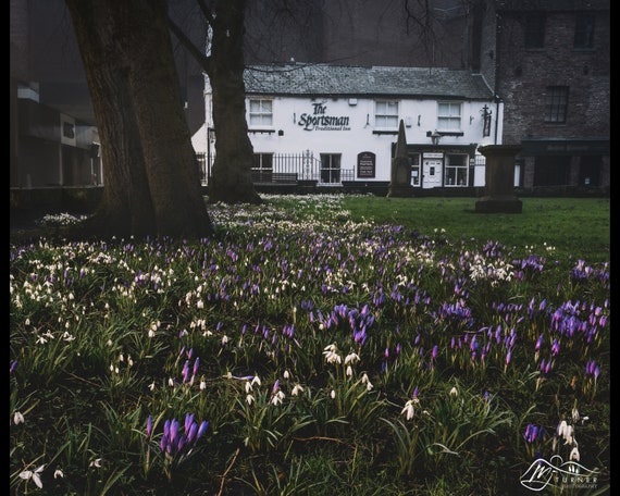 Sportsman Inn from St Cuthbert's Churchyard, City of Carlisle - Photographic Print