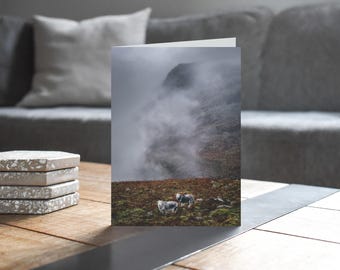 Lake District Greeting Card • Herdwick Sheep below Buckbarrow