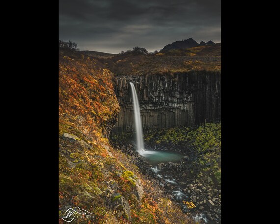 Svartifoss, Iceland - Photographic Print