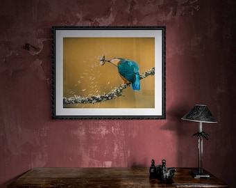 Kingfisher I - Wildlife - Unframed Photographic Print