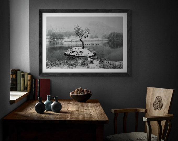 Lake District Fine Art Photograph • Rydal Water I • Unframed Print