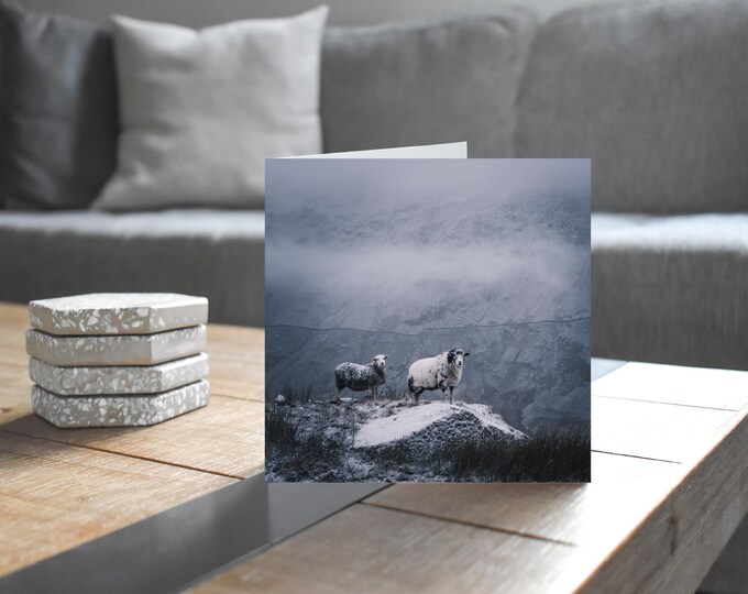 Lake District Greeting Card • Herdwick and Swaledale Sheep, High Pike