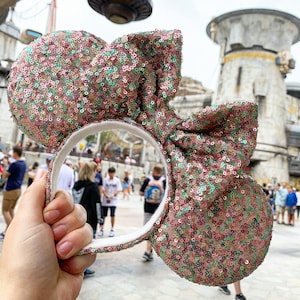 Enchanted Garden Sequin Ears