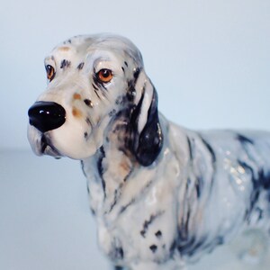 May include: A ceramic figurine of a white and black English Setter dog. The dog has brown eyes and a black nose. The figurine is detailed with realistic markings and a glossy finish.
