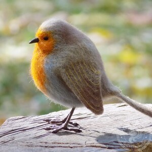 May include: A small, gray and orange robin bird figurine made of felt. The bird is perched on a wooden surface.