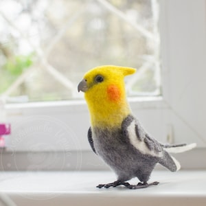Parrot Corella Needle Felting Sculpture Winter Holiday Gift Parrot Wall Decor Gift Love Bird by LISaFeltStories