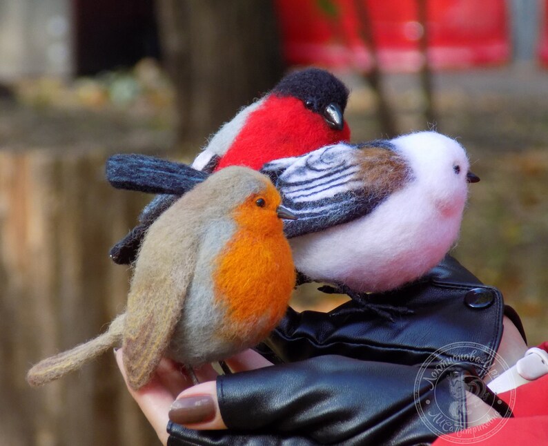 May include: Three felt bird figurines: a red robin, a white and gray bird with black stripes, and a red and black bird. The birds are sitting on a black leather glove.