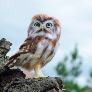 Little elf owl.  Sculpture of an owl felting with a needle.  Toy decor, felted bird.  Realistic bird.